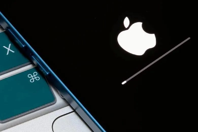 aapl boot